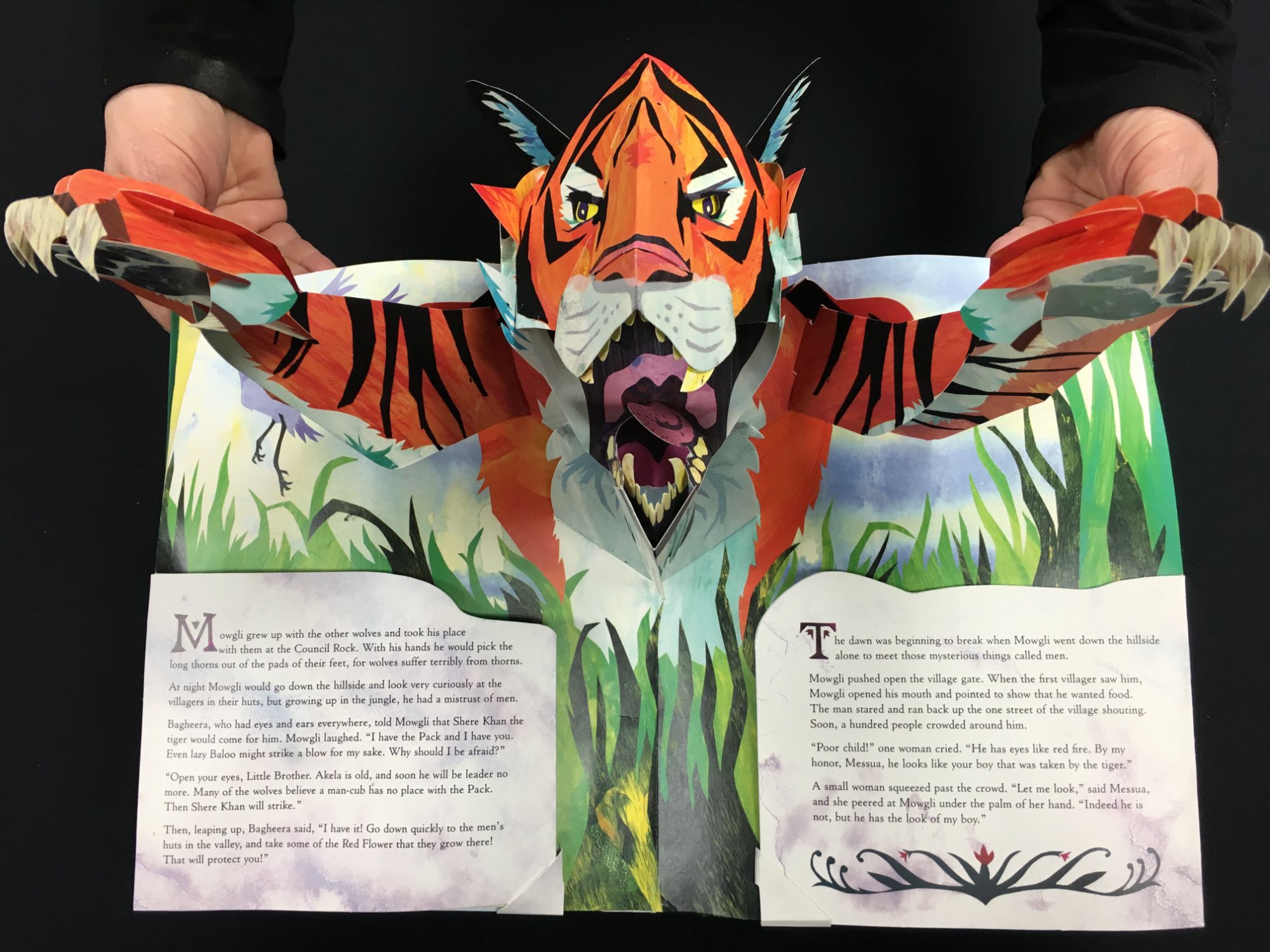 The Incredible, Moveable, 3D Book