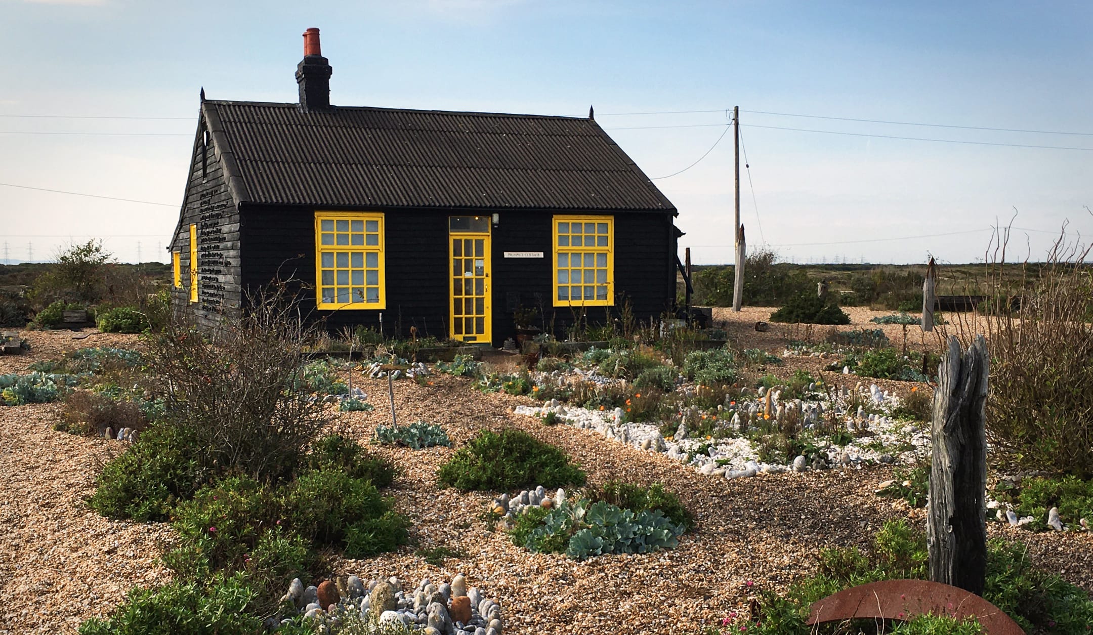 Paradise and Ragwort: on Olivia Laing’s The Garden Against Time